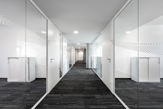 25mm Single Layer Glass Office Partition Wall - Tempered & Customizable
