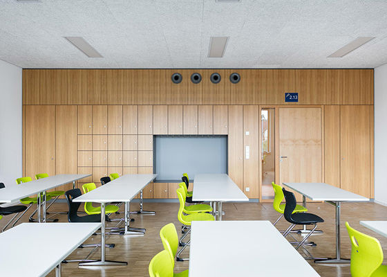 পরিবেশ বান্ধব বিচ্ছিন্নযোগ্য কঠিন পার্টিশন প্রাচীর ইস্পাত অগ্নিরোধী বোর্ড গোপনীয়তা সভা পার্টিশন প্রাচীর